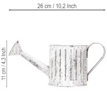 tételeket Dekoratív öntözőkanna, ültető, öntözőkanna ültetéshez Ø10.5cm