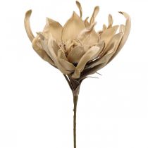 Deco lótuszvirág műlótuszvirág művirág bézs L68cm