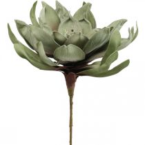 Deco lótuszvirág műlótuszvirág művirág zöld L70cm