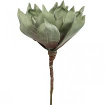 Deco lótuszvirág, lótuszvirág, selyemvirág zöld L64cm