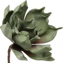 Deco lótuszvirág, lótuszvirág, selyemvirág zöld L64cm