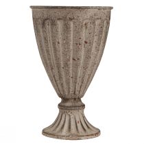 tételeket Dekoratív trófeaültető antik megjelenés szürke barna Ø13cm H19cm