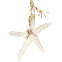 tételeket Dekoratív tengeri csillag függesztett tengeri dekorációhoz fa fehér 30 cm