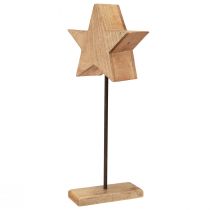 tételeket Dekoratív csillagfa bottalpon zöld barna 20x9,5x50cm