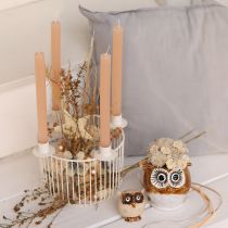 tételeket Dekoratív Csillagok, Kender Raffia, 7,5 cm, Karácsonyfa Díszek, 8 Darab