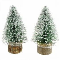 Karácsonyi dekoráció, dekoratív fenyő, mini fenyő zöld hóval borított H15cm Ø9,5cm 6db