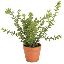 tételeket Dekoratív kakukkfű cserépben Mesterséges fűszernövények konyhai dekoráció 25cm