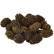 tételeket Dekoratív égerfa tobozok natúr díszítéshez 3-4cm 200g