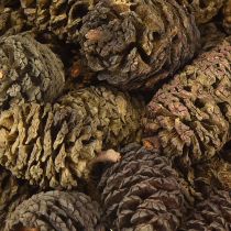 tételeket Dekoratív égerfa tobozok natúr díszítéshez 3-4cm 200g