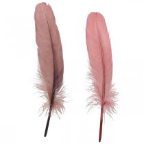 tételeket Dekoratív toll kézműves munkákhoz Dusky pink igazi madártoll 20g