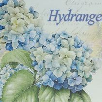 tételeket Dekoratív hortenzia műanyag tálca fehér 39×27,5cm