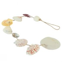 tételeket Dekoratív fogas tengeri kagyló dekoráció natúr Ø5-10cm 70cm