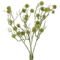 tételeket Dekoratív ág édesgumifa gyümölcsei világoszöld 48cm