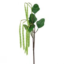 tételeket Dekoratív ág bab ág műnövény zöld 68cm