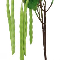 tételeket Dekoratív ág bab ág műnövény zöld 68cm