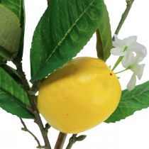 Dekoratív citromág virágokkal és gyümölcsökkel H68cm