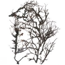 Deco ágak bonsai fa deco ágak 15-30cm 650g