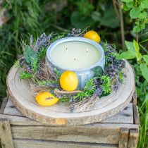 tételeket Deco ágak Iron Bush ágak natúr dekoráció fa natúr 250g