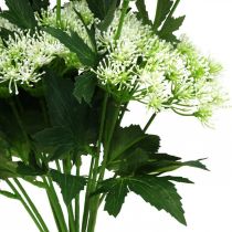 tételeket Virágzó kapor, műfű, dísznövény zöld, fehér 49cm 9db