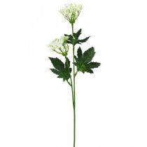 tételeket Virágzó kapor, műfű, dísznövény zöld, fehér 49cm 9db