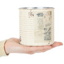 tételeket Fém virágtartó krémszínű Shabby Chic Ø11cm M10.5cm