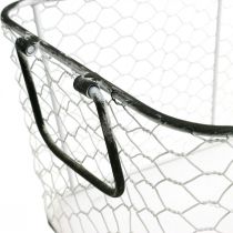tételeket Drótkosár, vetőgép, ültetőgép L43.5 / 39.5 / 35cm, 3 db