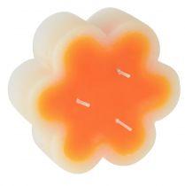 tételeket Három kanócú, fehér narancssárga gyertya virág formájában Ø11,5cm H4cm