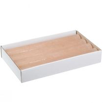 tételeket Egyszínű gyertyák asztali gyertyák kajszibarack 34x240mm 4 db