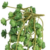 tételeket Echeveria mesterséges függőnövények zöld színben, szélesség 12 cm, hosszúság 50 cm