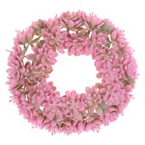 Echeveria koszorú rózsaszín Ø18cm 4db
