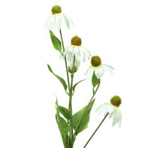 tételeket Echinacea virág műfehér 90cm