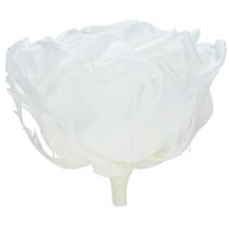 tételeket Igazi rózsafejek Infinity Roses Fehér Prémium Ø8.5cm 4 db