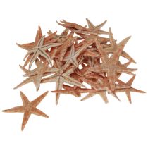 tételeket Igazi fiatal tengeri csillag asztaldísz tengerészeti mintával 3-4cm 100 db