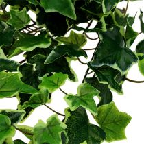 tételeket Ivy fogas fehér-zöld 70cm