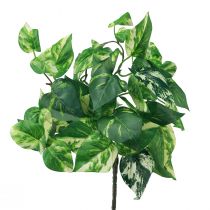 Borostyán növény Pothos ivy műarany inda 50cm