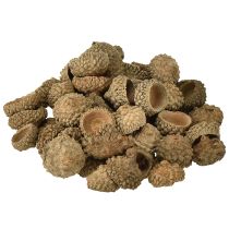 tételeket Makk sapkák természetes díszmakk kézműveskedéshez 1,5 cm 200g