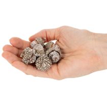tételeket Makk, természetes dekorációs termék, fehérre meszelt, 1-3 cm, 300g