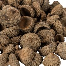 tételeket Természetes makk sapkák, dísztálak őszi és adventi időszakra, 2 cm, 300 g