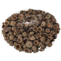 tételeket Természetes makk sapkák, dísztálak őszi és adventi időszakra, 2 cm, 300 g