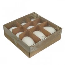 tételeket Hattyútojás & csirke tojás keverék kifújt tojásfehérje 5,5/8cm 9db