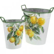 Mediterrán bádog kád, virágtartó citrom motívummal fehér, zöld, sárga H43,5/34cm W36,5/27,5cm 2 db-os készlet