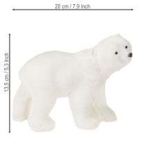 tételeket Jegesmedve díszfigurák álló és ülő fehér 16/20cm 3db