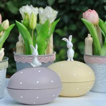 Nyuszi tojáson, dekortojás töltelék, húsvéti, díszdoboz sárga, lila H17/16cm L15cm 2db szett