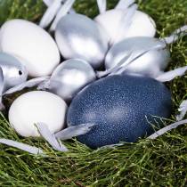 tételeket Emu tojás natúr 12cm - 14cm 1db