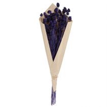 tételeket Eper bogáncs Dry Bogáncs Bogáncs dekoráció Lila 44-58cm 100g