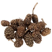 tételeket Égertobozok, természetes anyag dekorációhoz és barkácsoláshoz, arany, 3 cm, 300 g