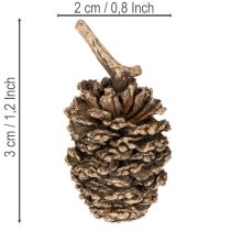 tételeket Égertobozok, természetes anyag dekorációhoz és barkácsoláshoz, arany, 3 cm, 300 g