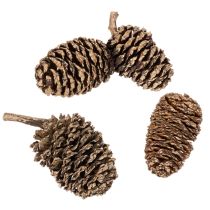 tételeket Égertobozok, természetes anyag dekorációhoz és barkácsoláshoz, arany, 3 cm, 300 g