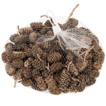 tételeket Égertobozok, természetes anyag dekorációhoz és barkácsoláshoz, arany, 3 cm, 300 g