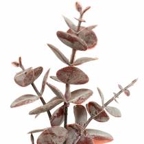 tételeket Eukaliptusz mesterséges Burgundia 32cm Mesterséges növény, mint az igazi!